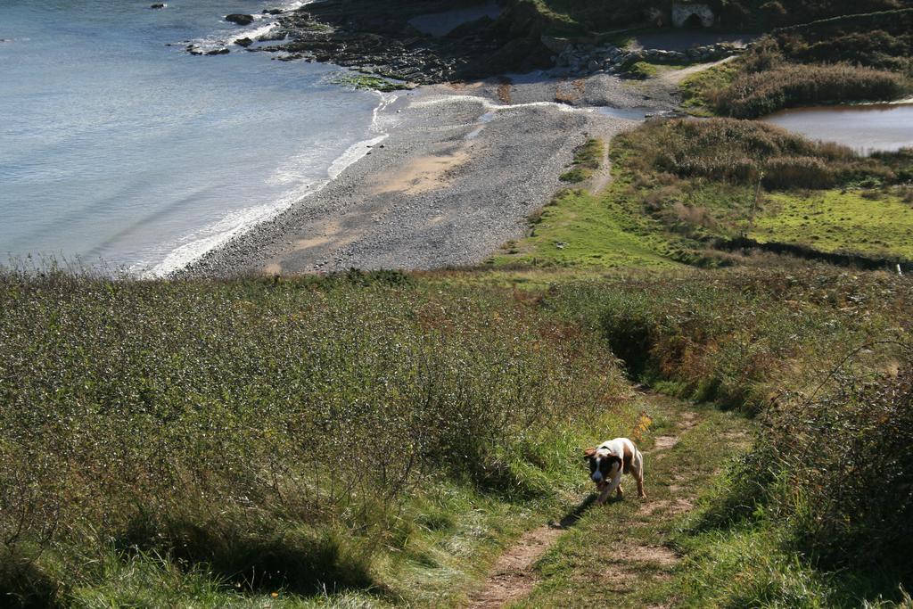 Beacon House B&B Brixham Buitenkant foto